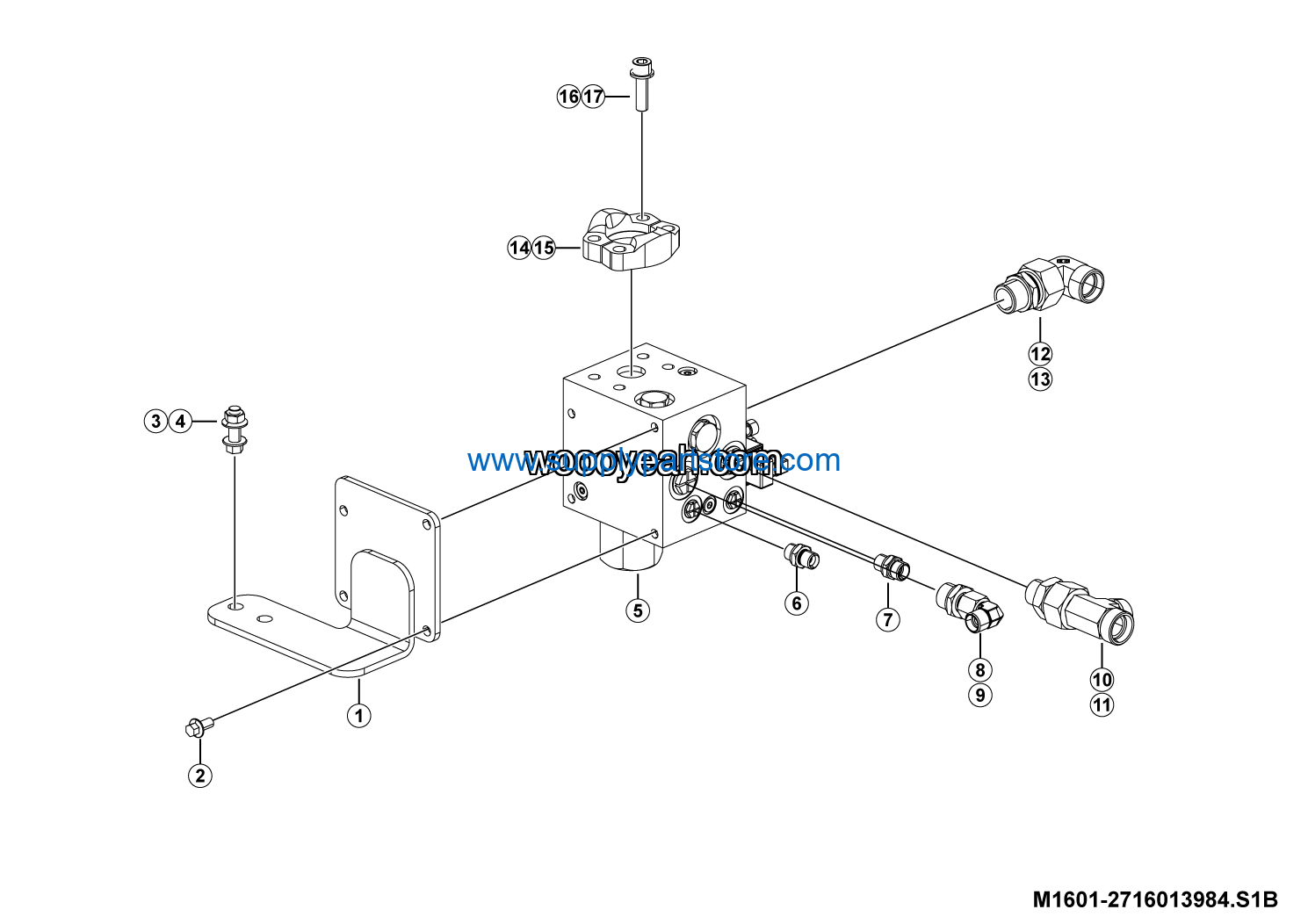 M1601-2716013984.S1B_www.woooyeah.com_.png
