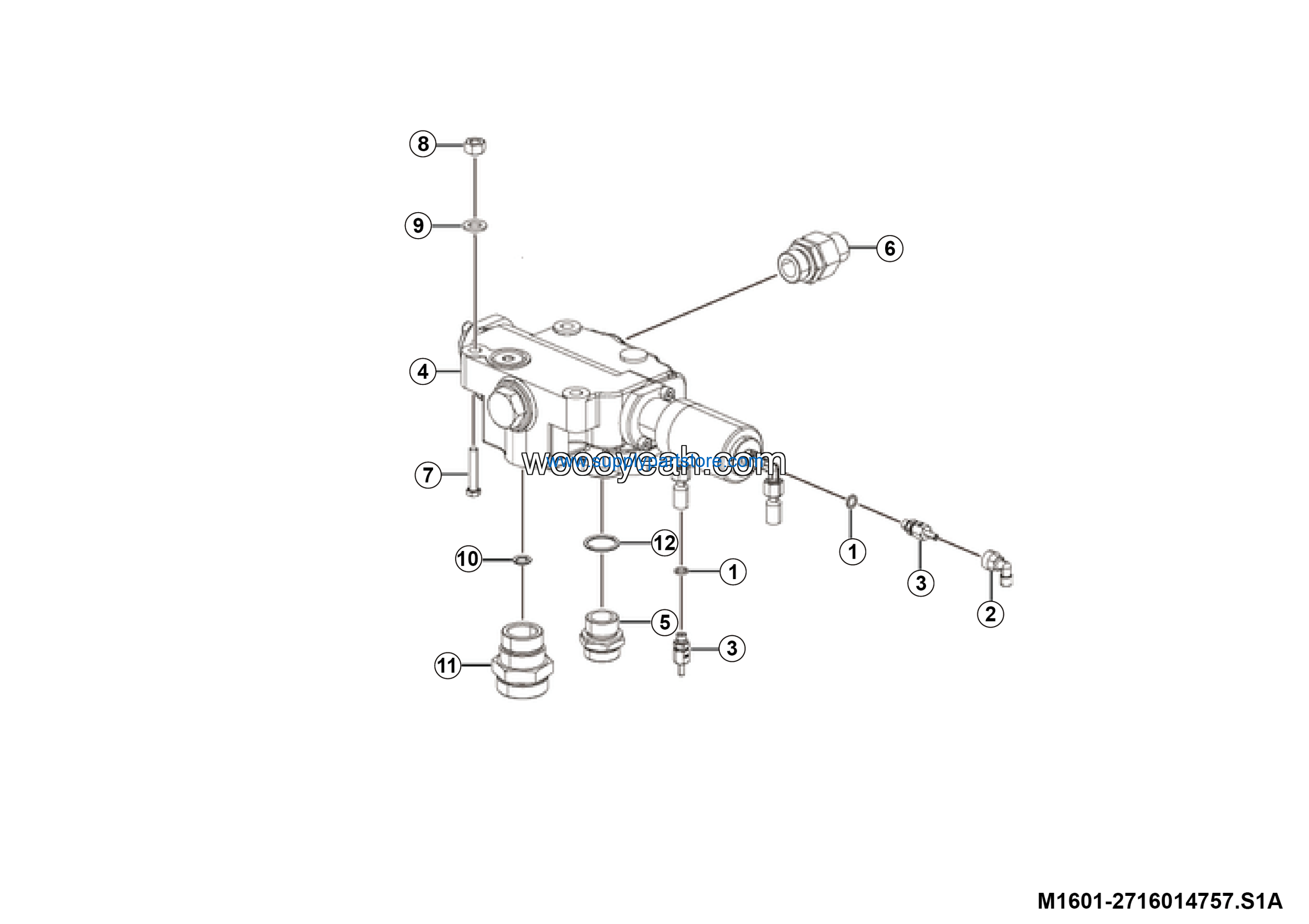 M1601-2716014757.S1A_www.woooyeah.com_-scaled-1.png